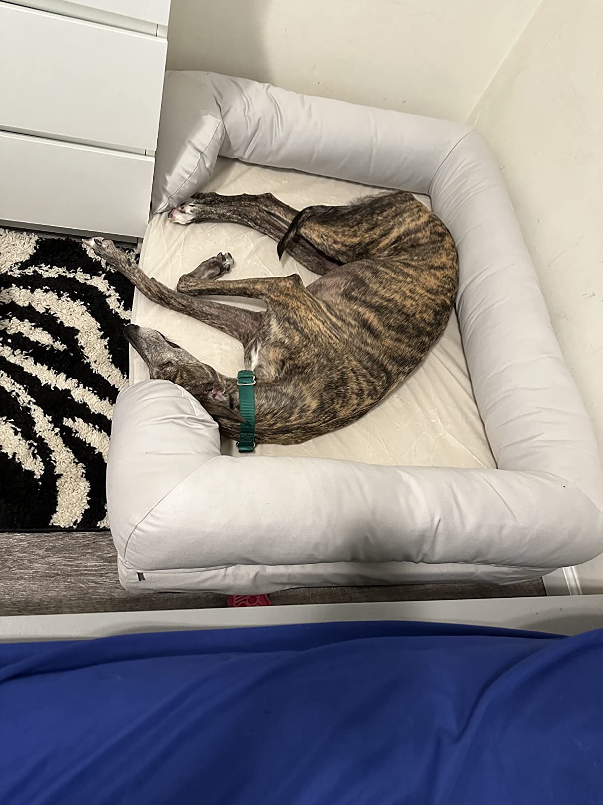 Extra Large Dog Bed w/ Solid 4
