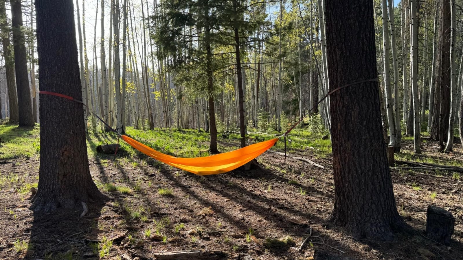 KAMMOK Roo Single Ultra Light Hammock | Strong & 100% Recycled Fabric | Water Resistant, Ripstop Fabric | Comfortable, Packable, Lightweight (Adventure Grade, Ember Orange) customer photo 2