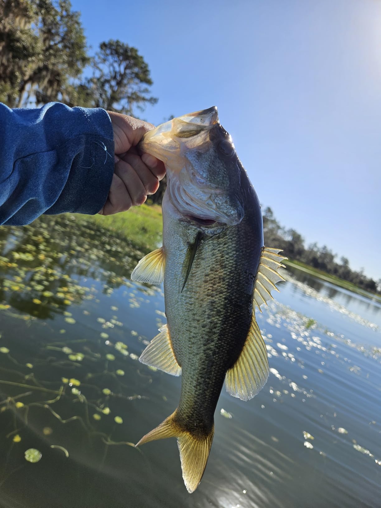 Lew's Classic Pro Speed Spool SLP Baitcast Reel customer photo 2