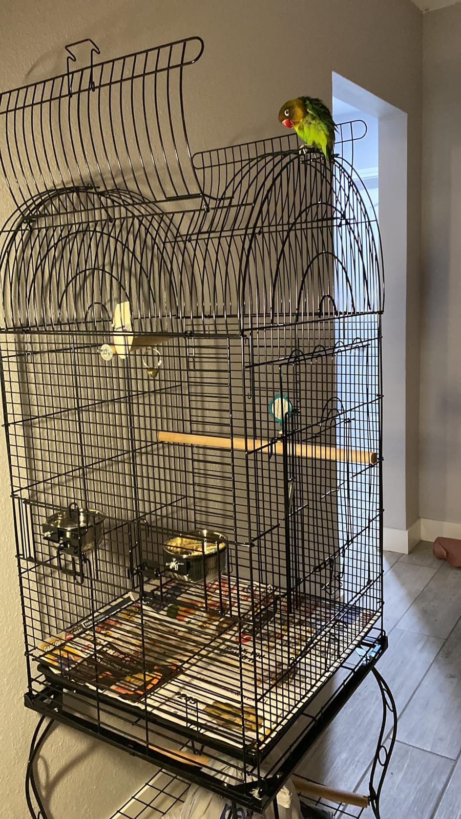 SUPER DEAL 64'' Rolling Bird Cage Large Wrought Iron Cage for Cockatiel Sun Conure Parakeet Finch Budgie Lovebird Canary Medium Pet House with Rolling Stand & Storage Shelf customer photo 2