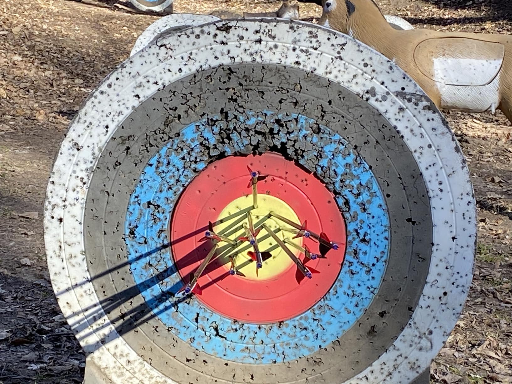 TOPARCHERY Archery 57