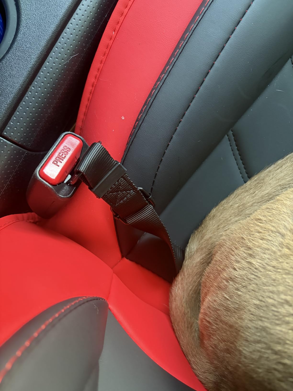 COOYOO Dog Seat Belt,3 Piece Set Retractable Dog Car Harness Adjustable Dog Seat Belt for Vehicle Nylon Pet Safety Seat Belts Heavy Duty & Elastic customer photo 1