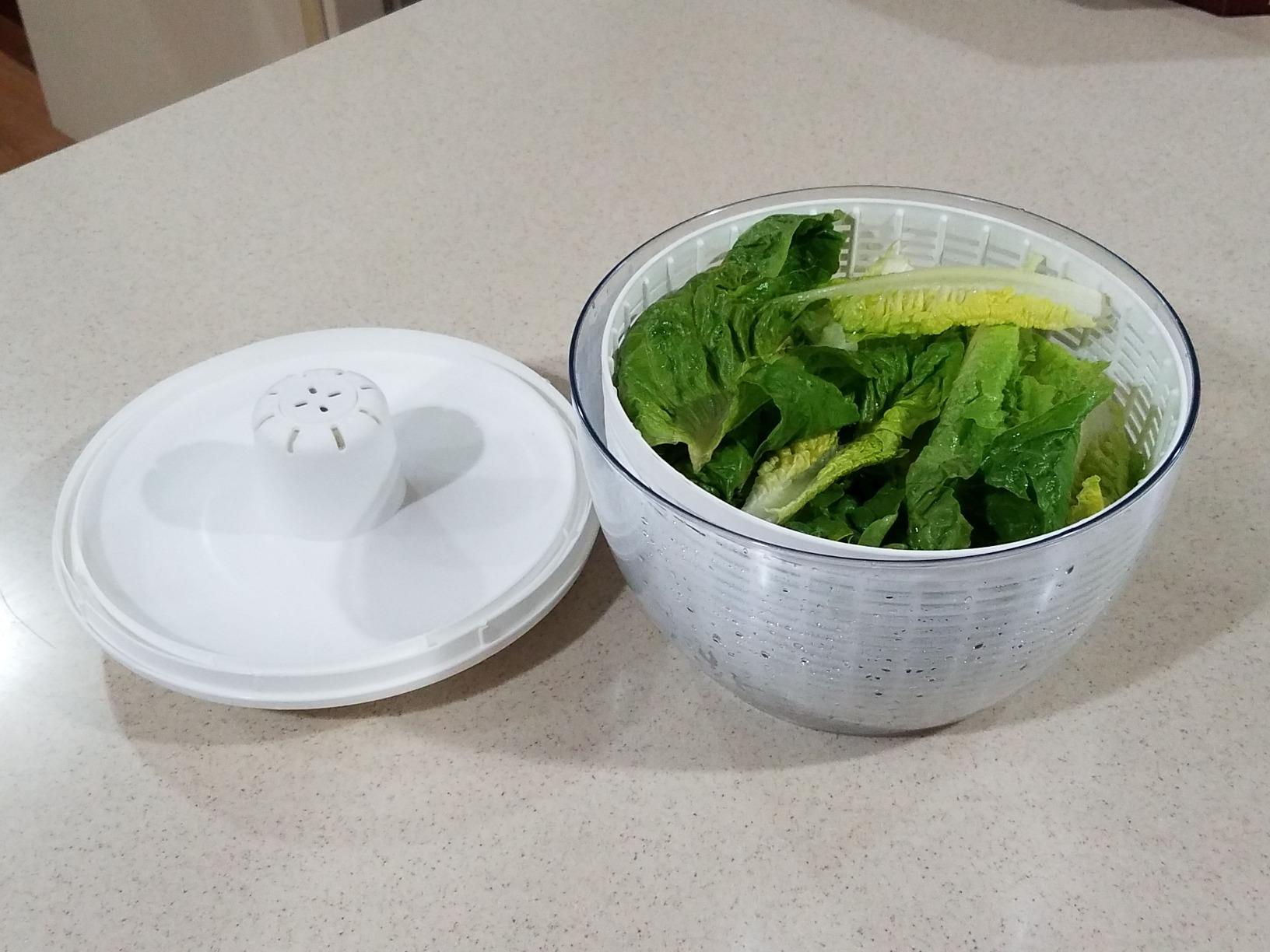 Brieftons Large 6.2-Quart Collapsible Salad Spinner: Manual One-Handed Pump Vegetable Washer Dryer Drainer Strainer, BPA-Free Bowl, Basket Colander & Lid, Compact Storage, for Greens Herbs Fruits customer photo 2