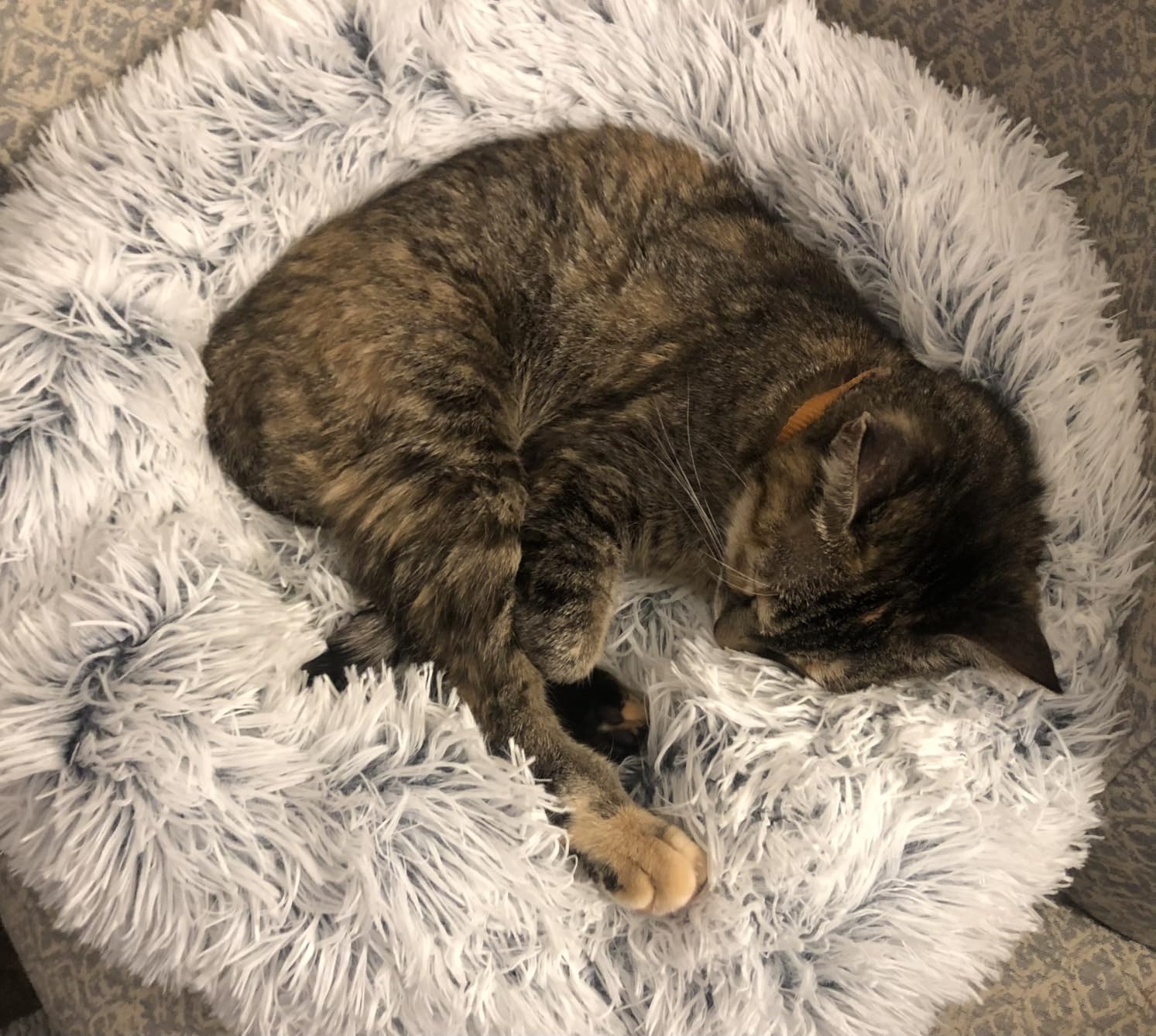 Love's cabin Calming Dog & Cat Bed, Cat Bed for Indoor Cats, Anti-Anxiety Donut Round Bed, Fluffy Warming Pet Bed for Small Medium Dogs and Cats, Beige Taupe 20