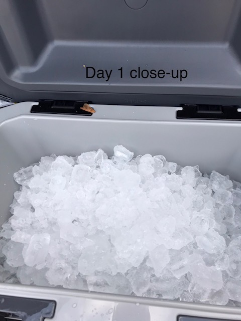 Igloo BMX Cooler | Insulated Hard Shell Ice Chest customer photo 1