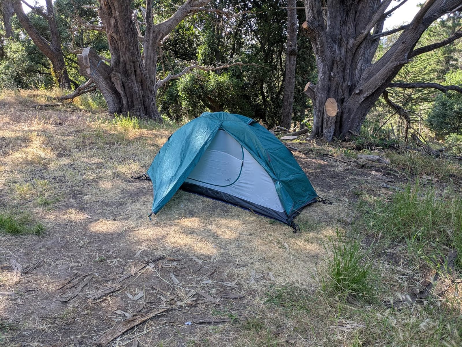 ALPS Mountaineering Backpacking-Tents Lynx 1 customer photo 2