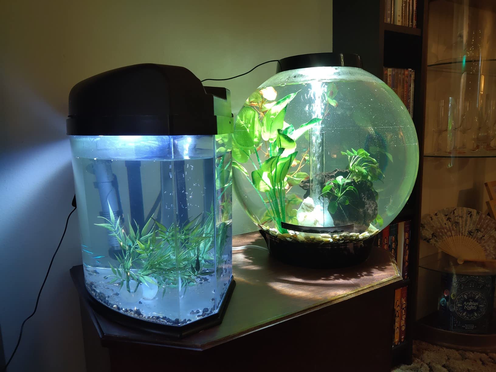 biOrb Classic 15 Acrylic 4-Gallon Aquarium with White LED Lights Modern Compact Tank for Tabletop or Desktop Display, Silver-Trimmed Tank customer photo 2