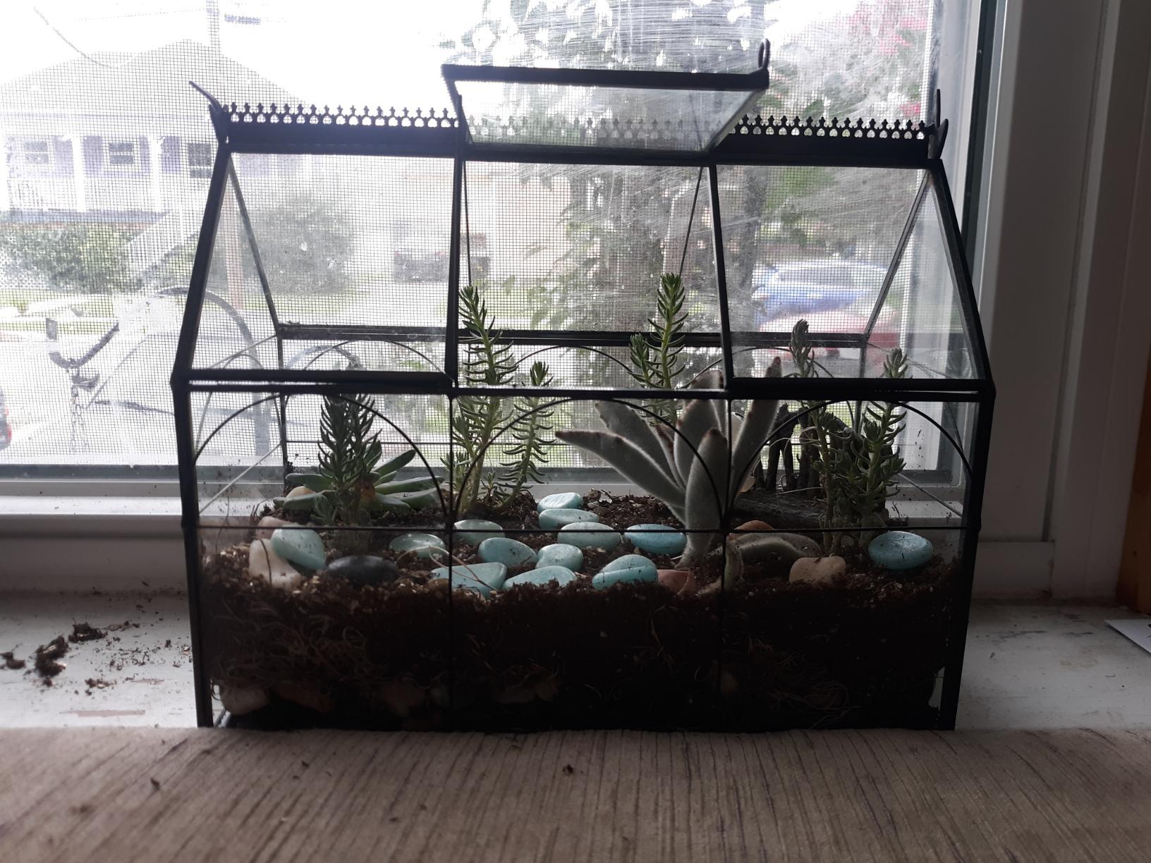 D'Eco Glass Greenhouse Plant Terrarium, Centerpiece & Wedding Letterbox customer photo 1