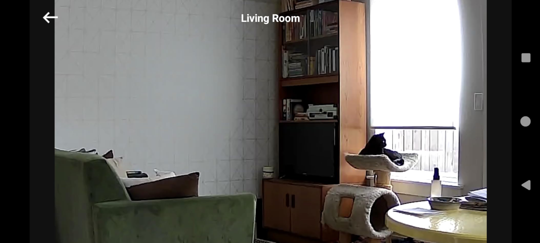 eufy Security Indoor Cam E220, Dog/Pet Camera, Pan and Tilt customer photo 2