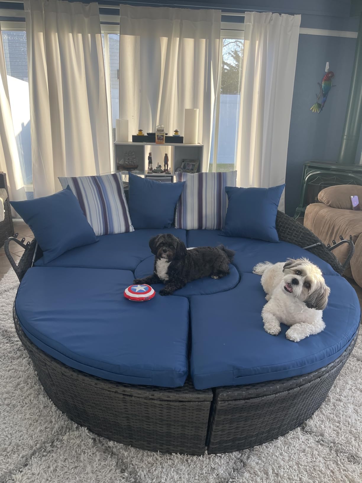 Tangkula Patio Round Daybed with Retractable Canopy, Outdoor Wicker Rattan Furniture Sets, Sectional Cushioned Sofa Set w/Height Adjustable Coffee Table, Rattan Conversation Sets (Black) customer photo 1