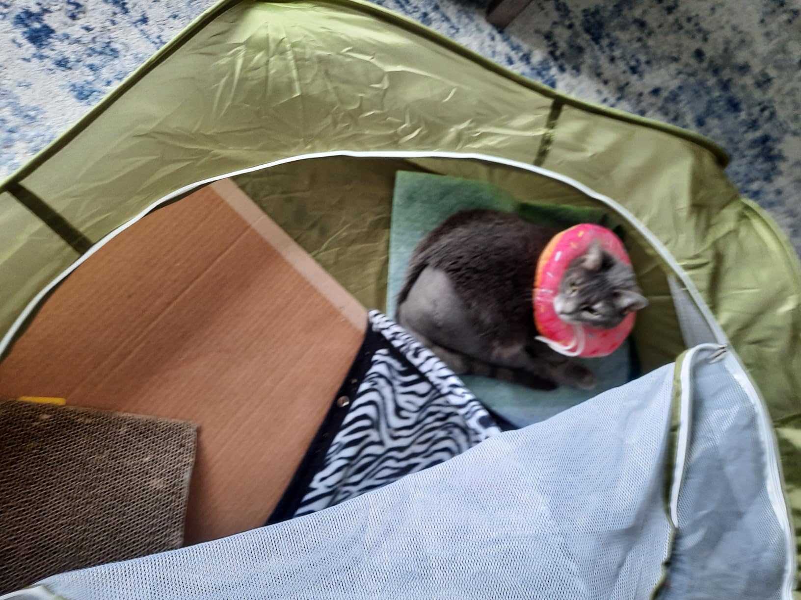Pawaboo Small Animal Playpen with Zippered Cover,Green customer photo 1