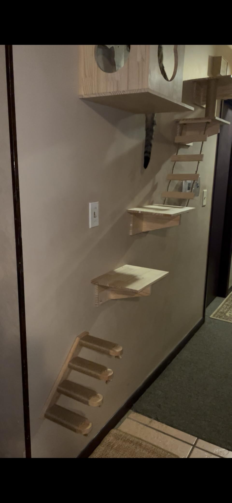 FUKUMARU Cat Climbing Shelf Wall Mounted, Small customer photo 2
