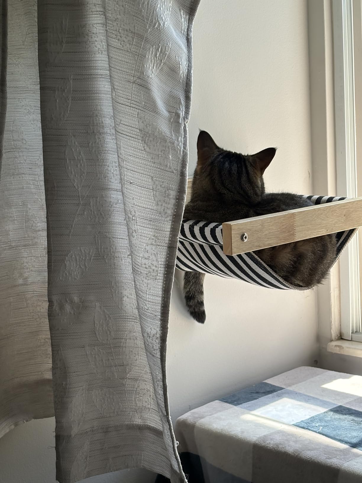 FUKUMARU Hammock Wall Mounted Cat Beds and Perches customer photo 1