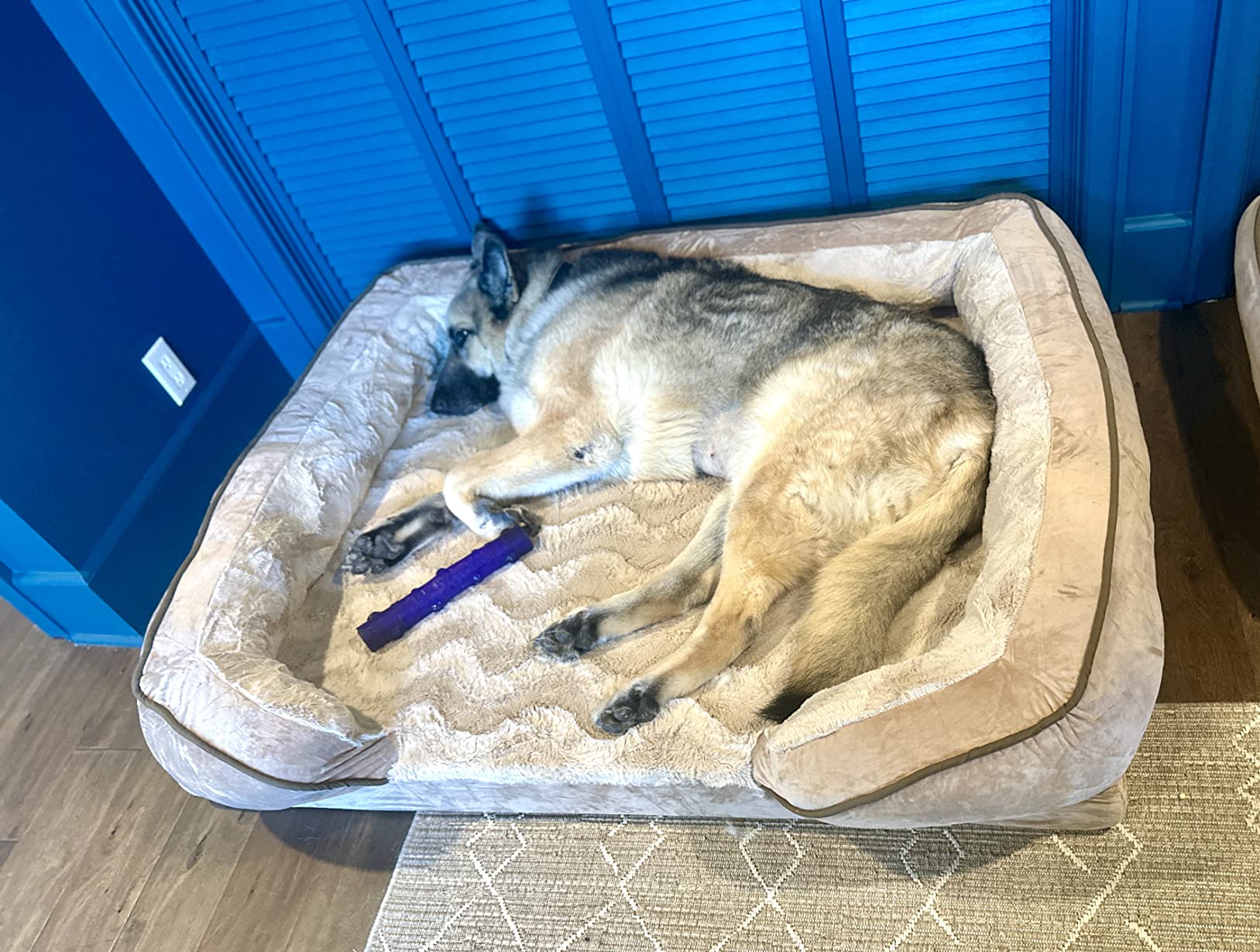 FurHaven Cooling Gel Dog Bed for Large Dogs, Perfect Comfort Sofa Bed with Cool Gel-Top Foam with a Solid Orthopedic Foam Base for Joint Support, Washable Cover, Jumbo XL, Plush & Velvet, Granite Gray customer photo 1