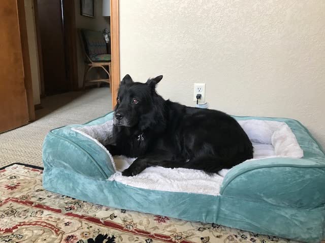 FurHaven Cooling Gel Dog Bed for Large Dogs, Perfect Comfort Sofa Bed with Cool Gel-Top Foam with a Solid Orthopedic Foam Base for Joint Support, Washable Cover, Jumbo XL, Plush & Velvet, Granite Gray customer photo 2