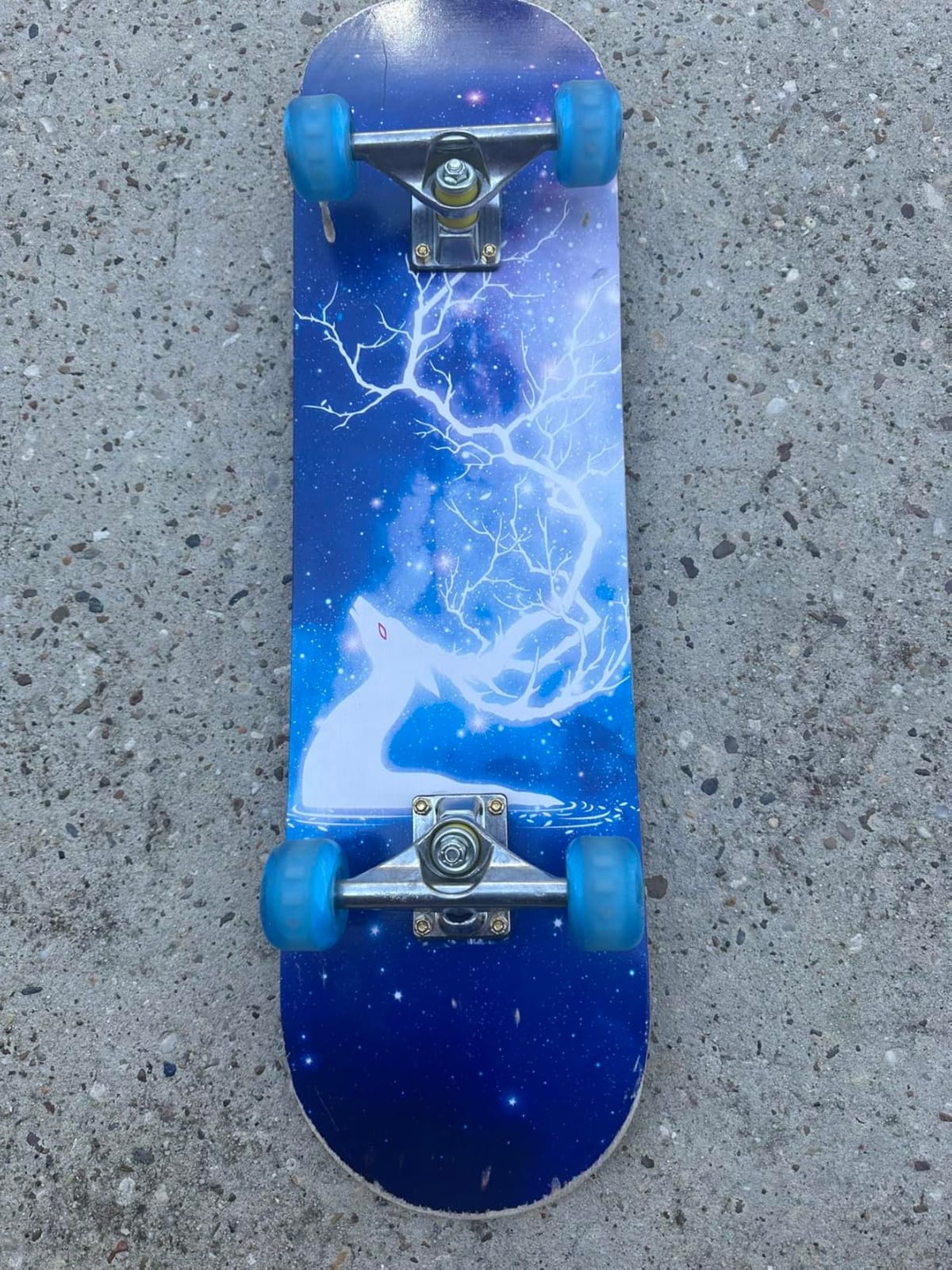 PHOEROS Complete Skateboards- Standard Skateboards for Beginners Kids Boys Girls Teenager- 31''x 8''Canadian Maple Cruiser Pro Skate Board, Skateboards customer photo 1