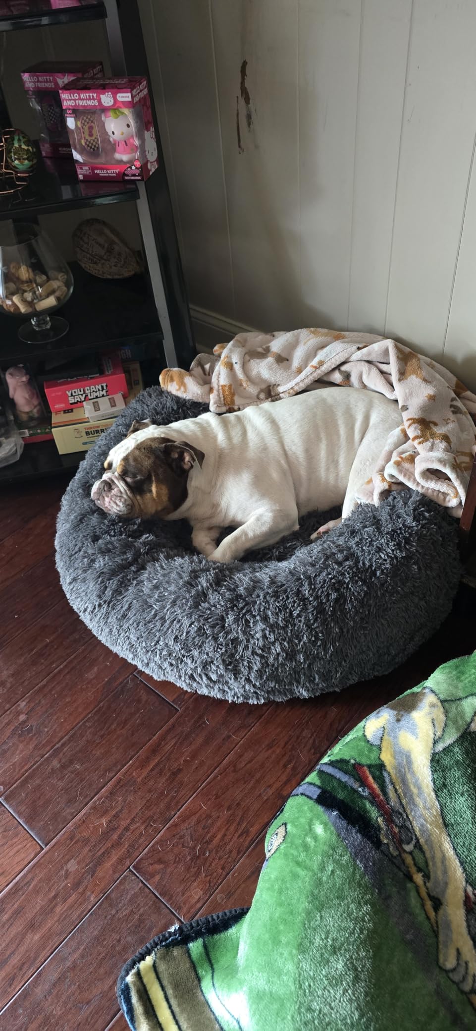 Bedsure Calming Small Dog Bed Donut Washable Cat & Puppy Bed, 23 inches Camel customer photo 1