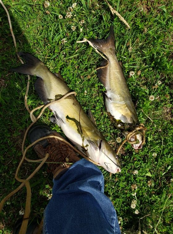 Ugly Stik 5’ Complete Spinning Kit Fishing Rod and Reel Spinning Combo, Ugly Tech Construction with Clear Tip Design, 5’ 2-Piece Rod, Red customer photo 1