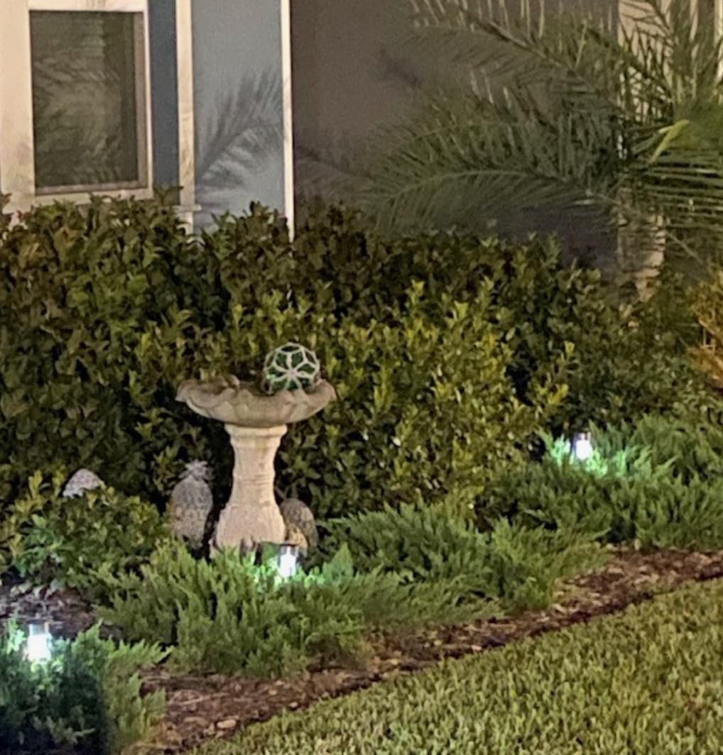 GIGALUMI Outdoor Waterproof Solar Pathway Lights, 12 Pack Warm White customer photo 1