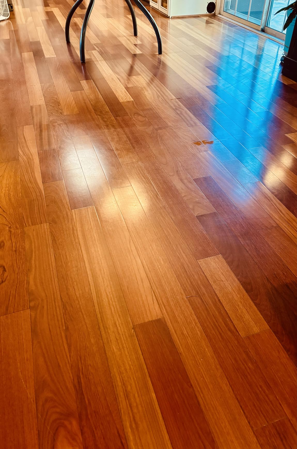 BISSELL SpinWave Hard Floor Expert Corded Spin Mop Cleaner, 20393 customer photo 1