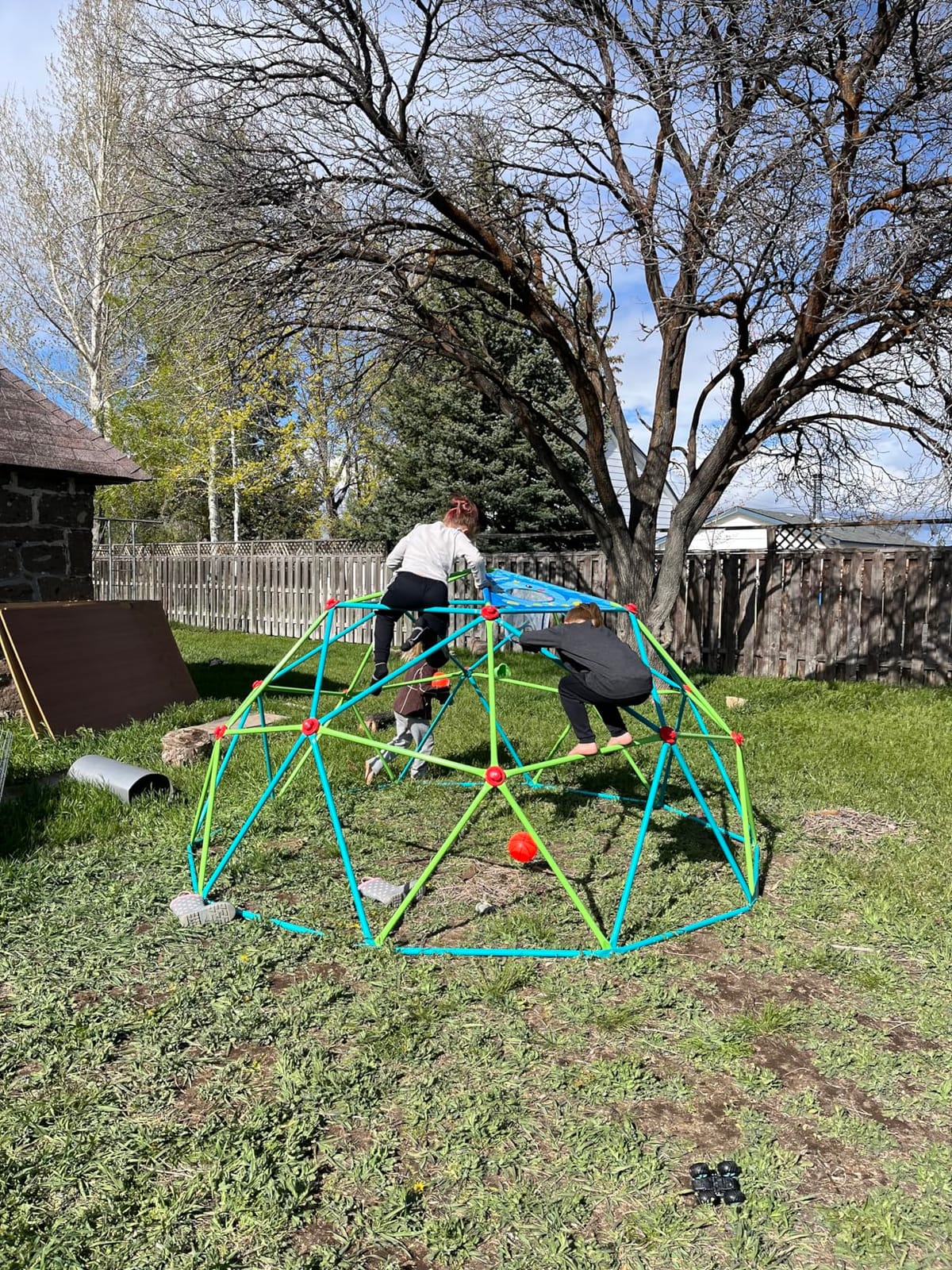 Zupapa 10FT Climbing Dome, Outdoor Jungle Gym for Kids with Climbing Grip - Geometric Dome Climber Outdoor Playset and Easy Assembly Outdoor Play Equipment for Kids (Green, 10FT) customer photo 1