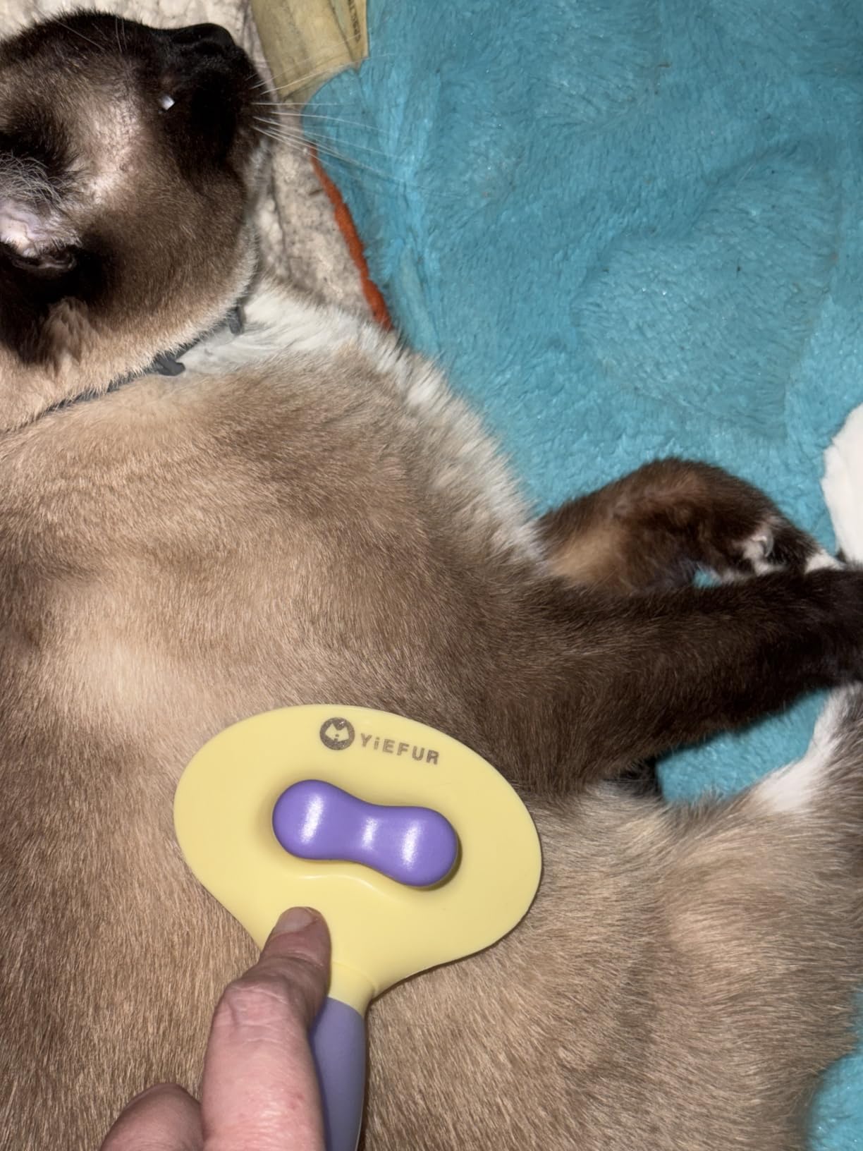 Cat Brush for Shedding, Self Cleaning Brush for Long & Short Hair Cats customer photo 2