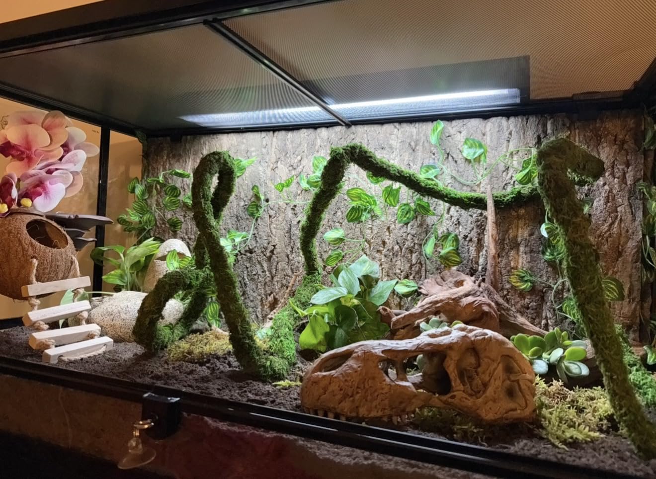 REPTI ZOO 50 Gallon Reptile Glass Tank Terrarium 2 in 1 Side Meshes and Side Glasses Double Hinge Door with Screen Ventilation Tempered Glass 36