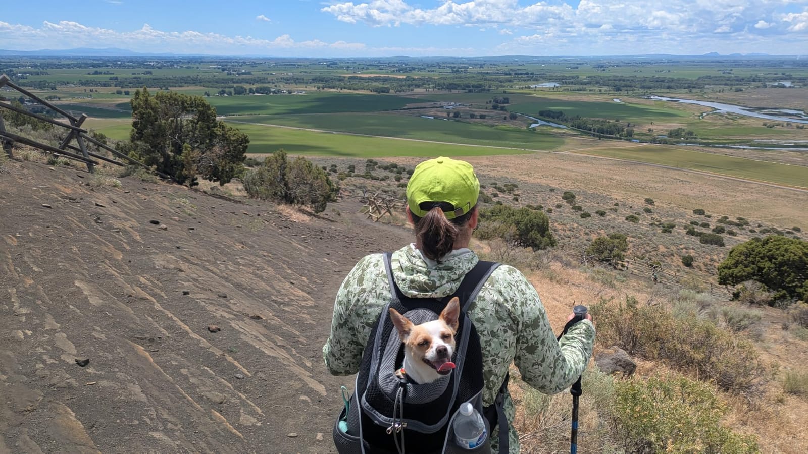 WOYYHO Pet Dog Carrier Backpack, Ventilated Small Dog Front Backpack customer photo 1