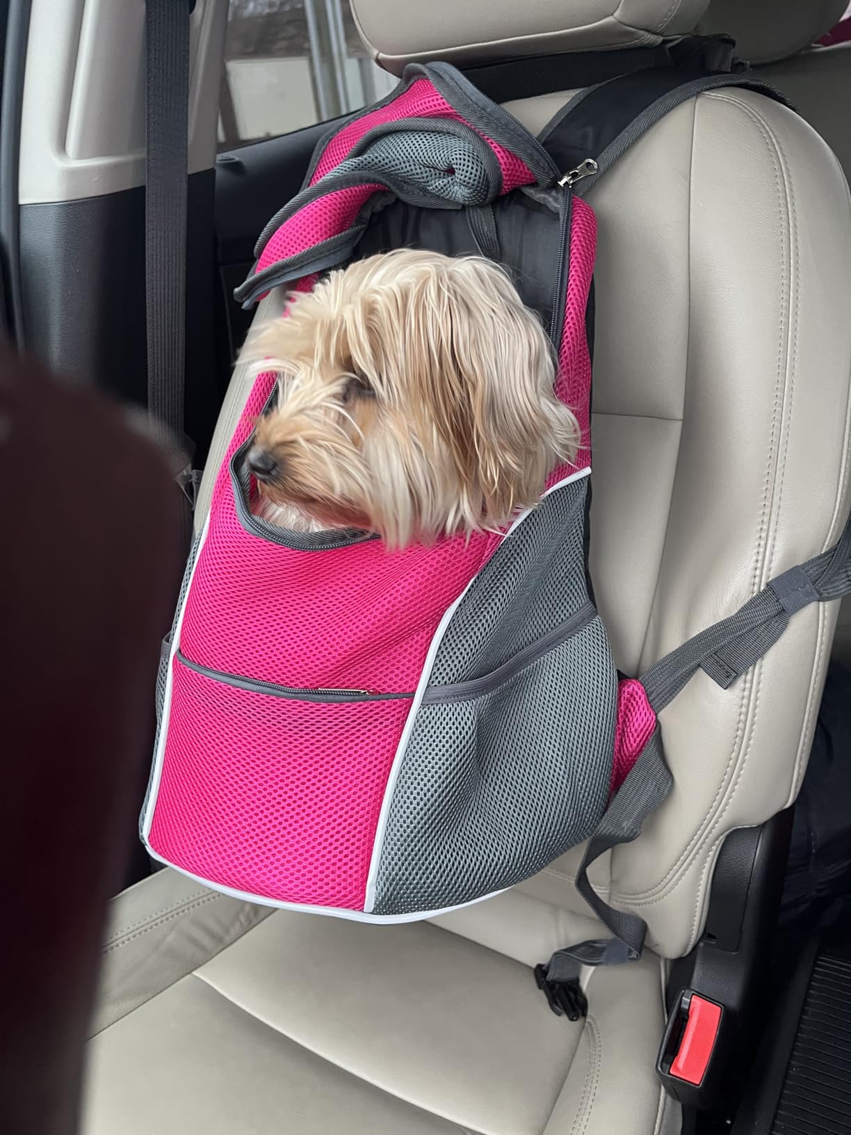 WOYYHO Pet Dog Carrier Backpack, Ventilated Small Dog Front Backpack customer photo 2