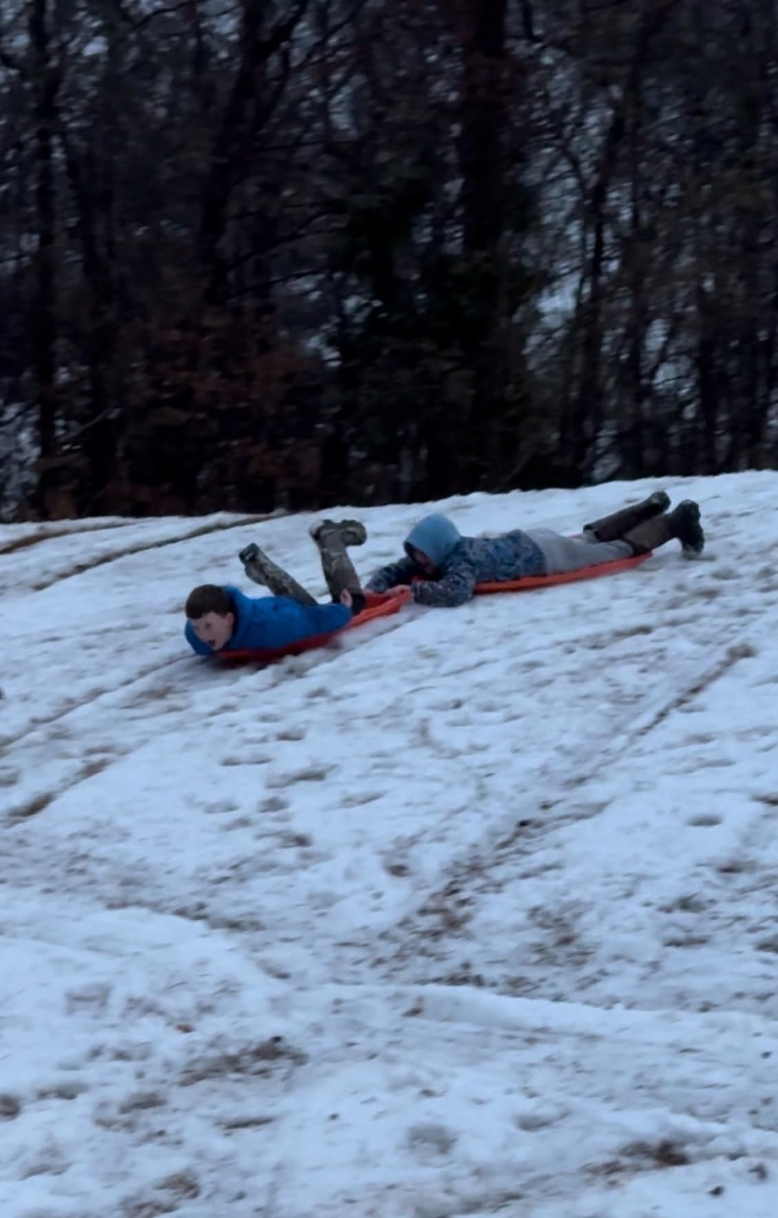 Flexible Flyer Winter Lightning Snow Sleds for Kids and Adults (3-Pack) - 48 Inch Toboggan Style Plastic Sled with Hard Bottom for Fast, Smooth Rides - 1 or 2 Riders (Blue, Green, Orange) customer photo 1