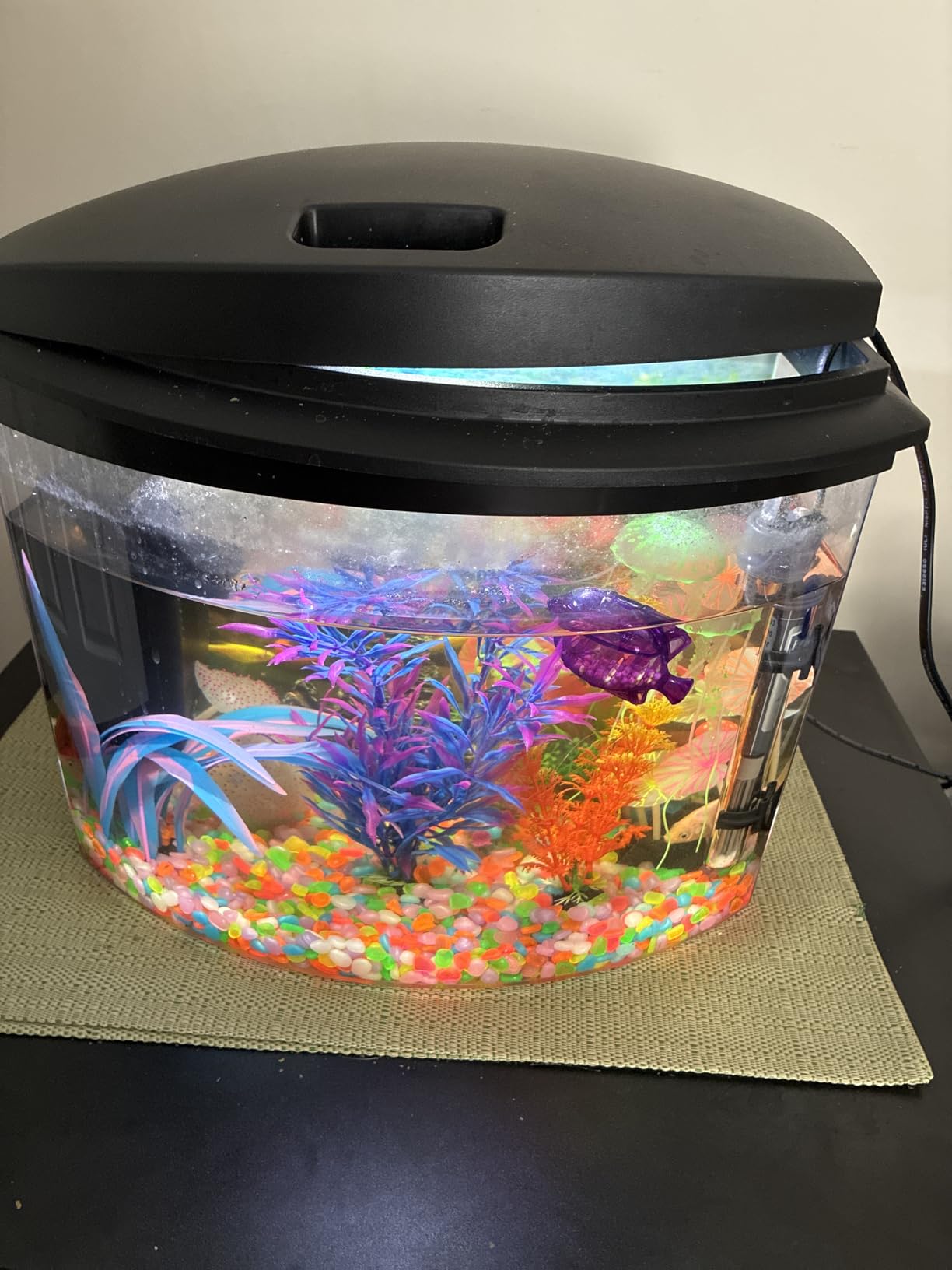 Aqueon LED MiniBow Small Aquarium Fish Tank Kit, Black, 2.5 Gallon customer photo 2