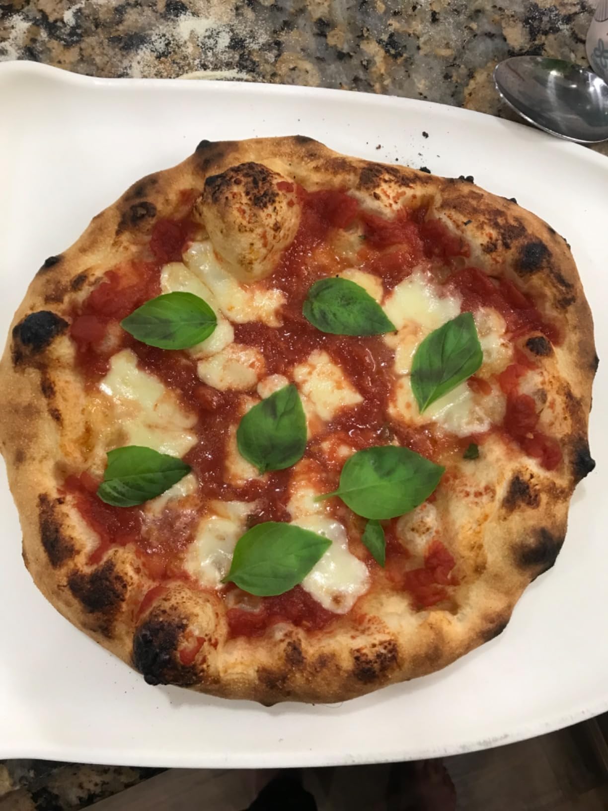 Breville BPZ820BSS Smart Oven Pizzaiolo, Brushed Stainless Steel customer photo 2