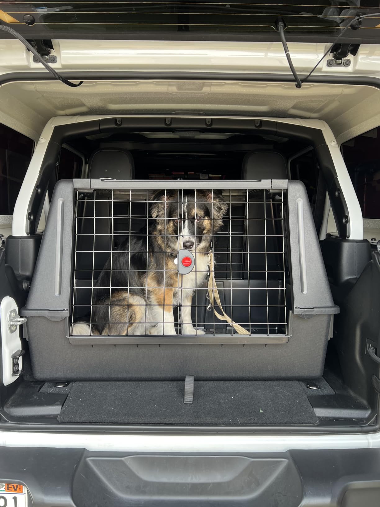 Ferplast Atlas Vehicle SUV Dog Crate, Assembled Car Dog Crate Measures 32L x 20W x 24H & is Ideal for Small to Medium Dog Breeds, Black customer photo 1