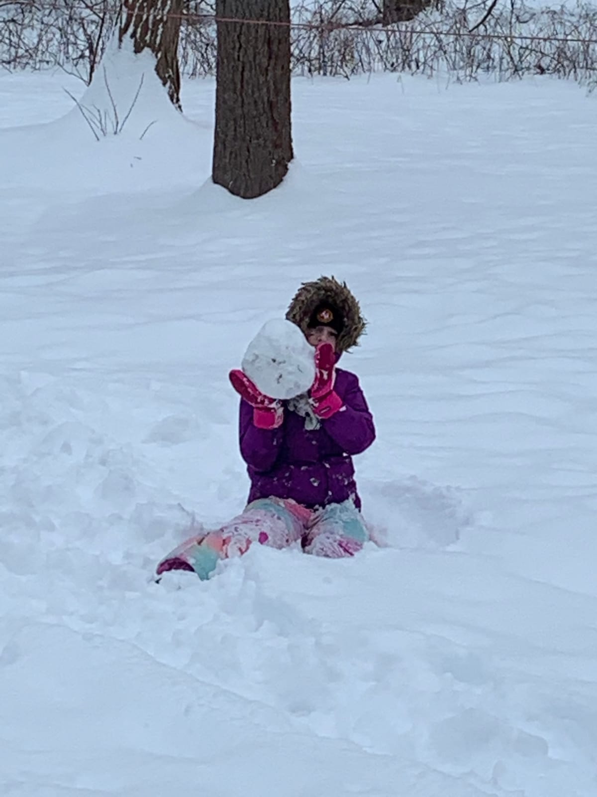 Amazon Essentials Girls and Toddlers' Water-Resistant Ski & Snow Bib Overall customer photo 2