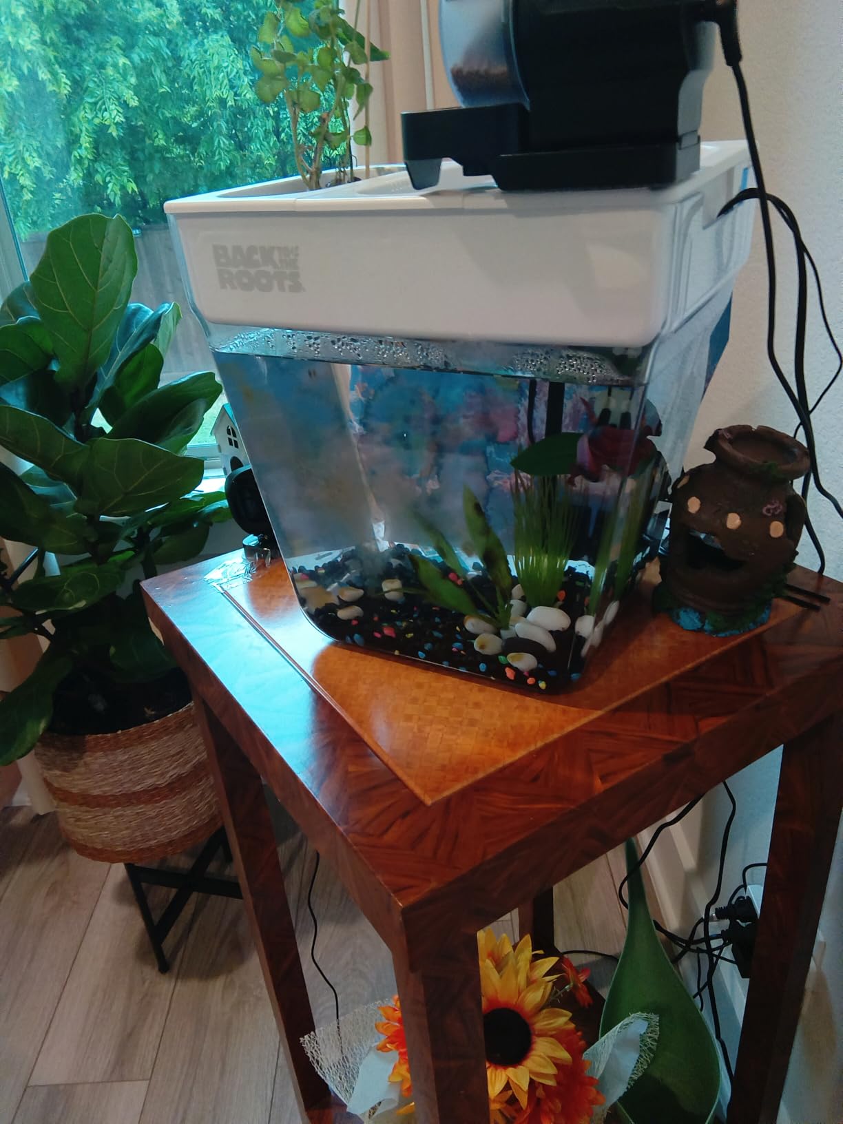 DXOPHIEX Automatic Fish Feeder Food Dispenser Vacation Fish Feeder customer photo 1