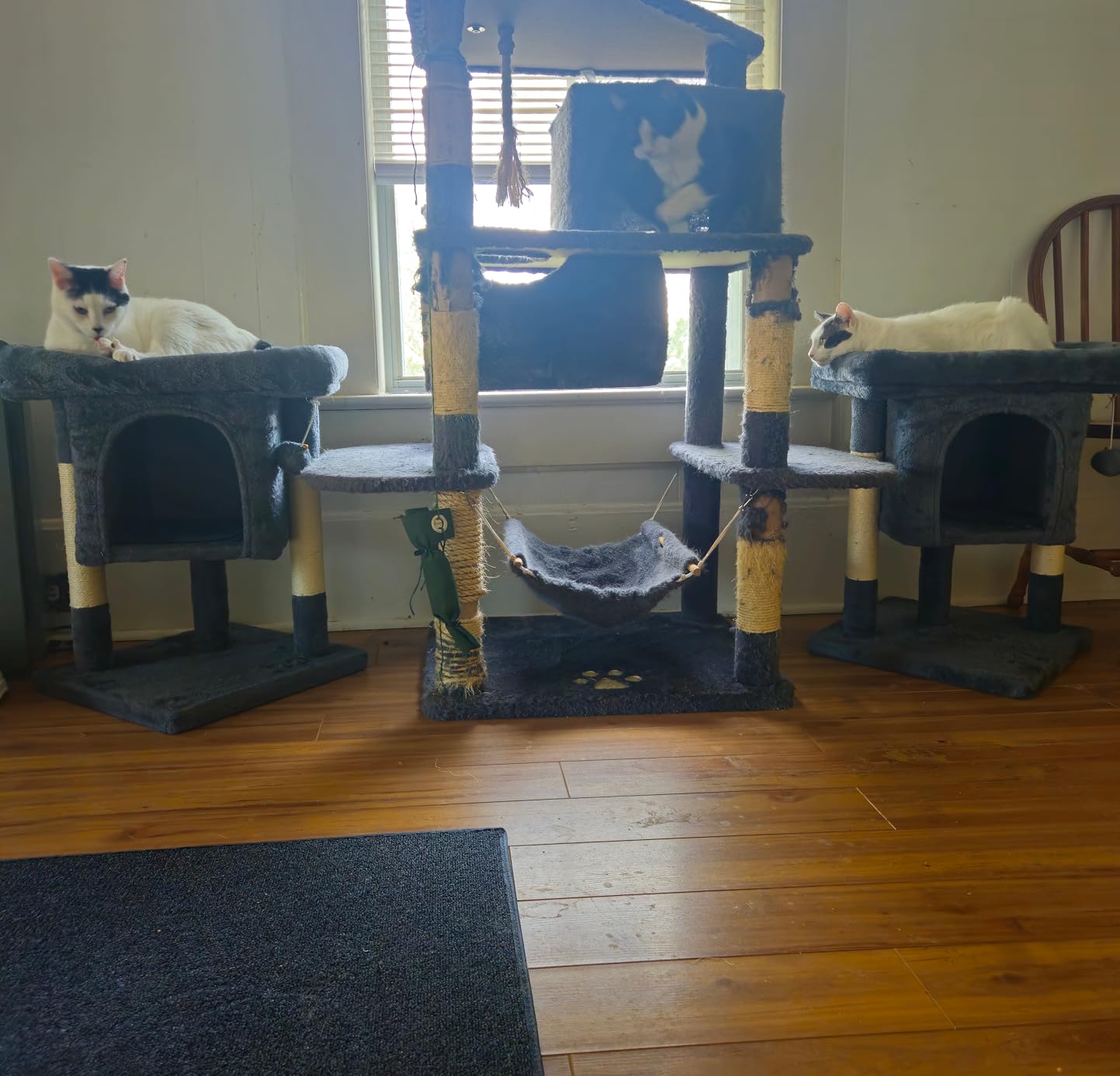 Yaheetech Small Cat Tree 23.5in for Kittens & Senior Cats, Low Profile Gray customer photo 1