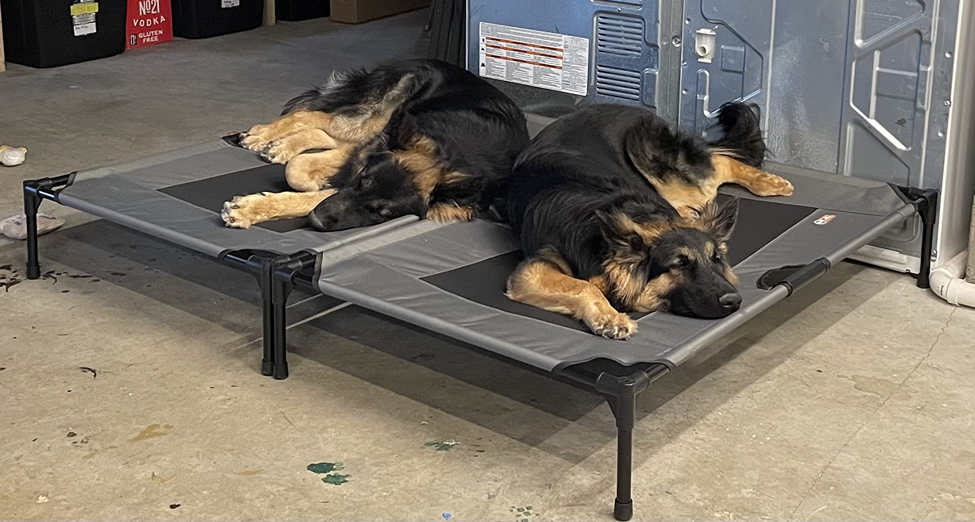 K&H Outdoor Elevated Dog Bed, Cooling Raised Dog Bed, Medium 32x25in, Tan | Pet Cot for Small & Medium Pets, Breathable Mesh 360 Hammock Design, Indoor/Outdoor Washable Cover, Portable Metal Frame customer photo 2