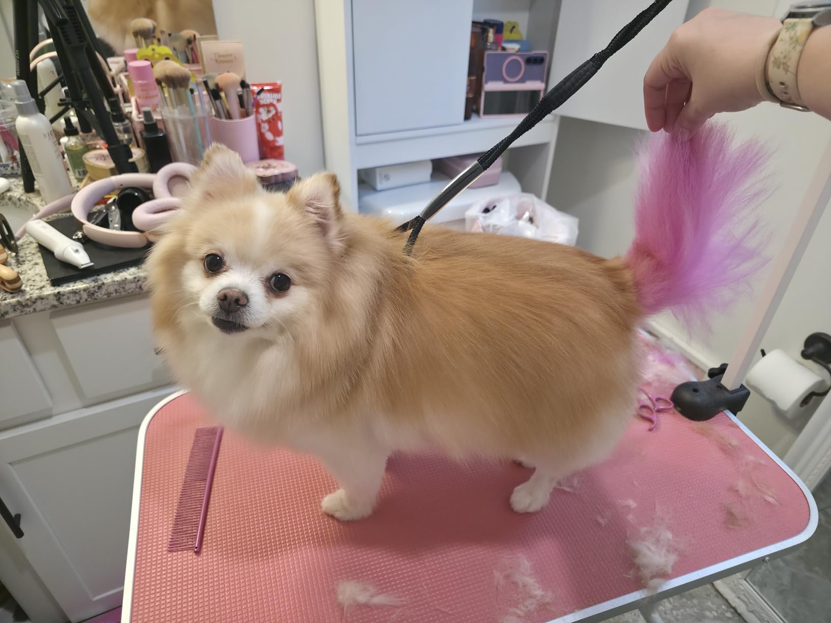 LEIBOU Pet Dog Grooming Table Foldable Grooming Table Heavy Duty Iron Frame with Arm & Noose for Dog Cat Pet Grooming (32'', Pink) customer photo 1