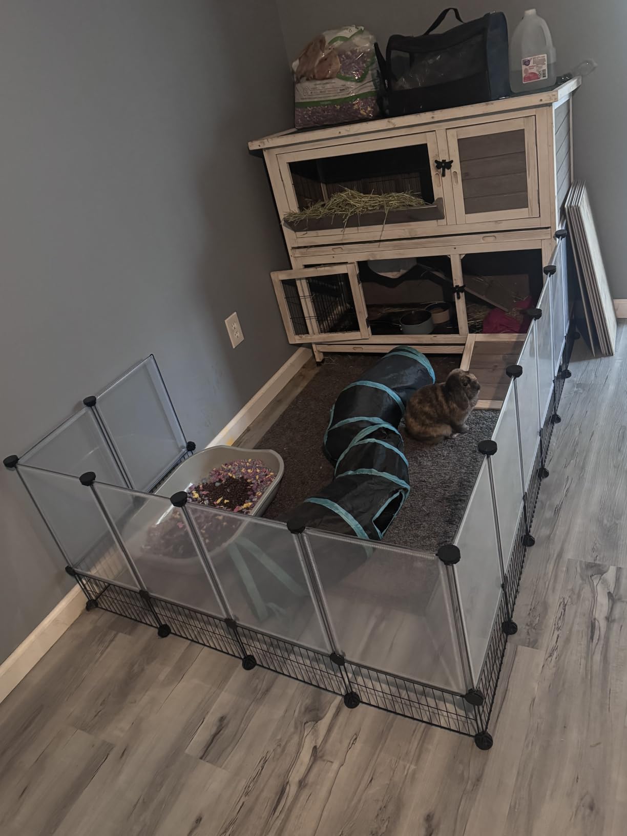DINMO 28 Panels Bunny Playpen, Iron Net Bottom, 61.4