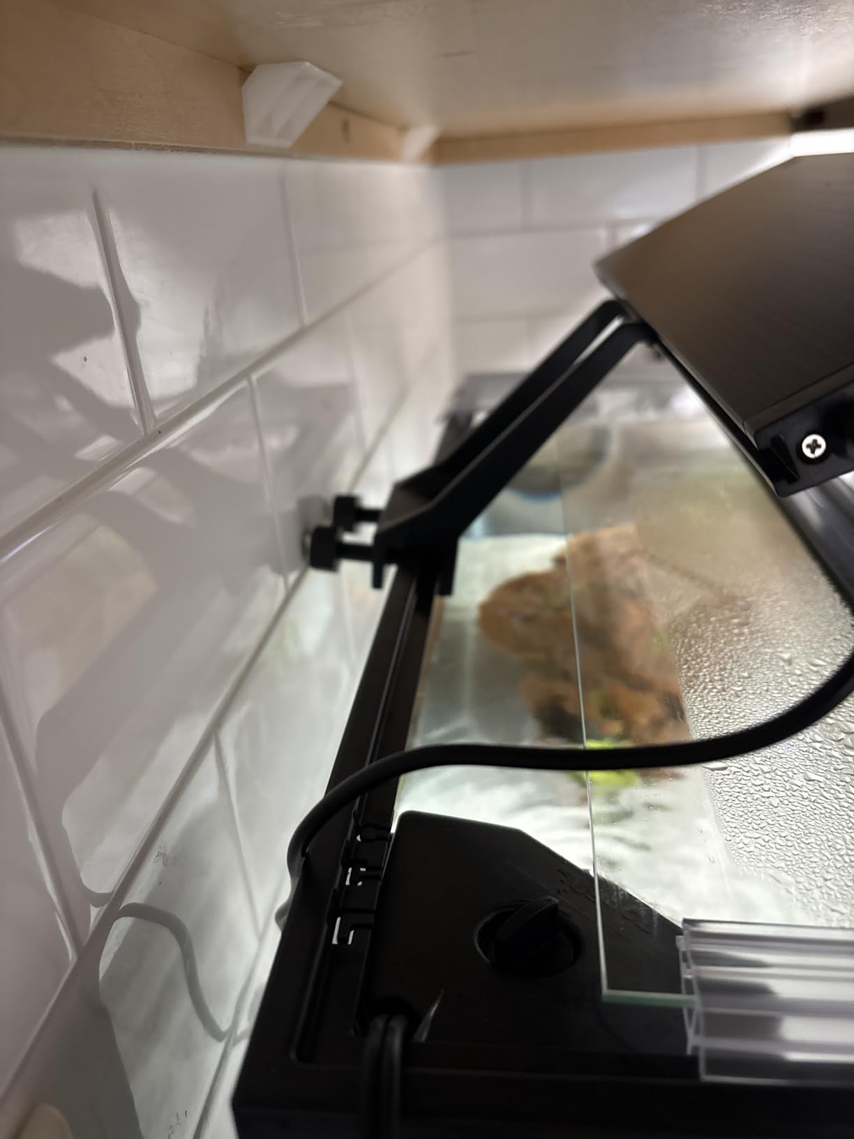 hygger Clip On 24/7 Lighting Aquarium LED Light,Sunrise-Daylight-Moonlight and DIY Mode, Adjustable Timer/Brightness Fish Tank Light with 7 Colors for Planted Tank (14W for 12~20in Tank) customer photo 1