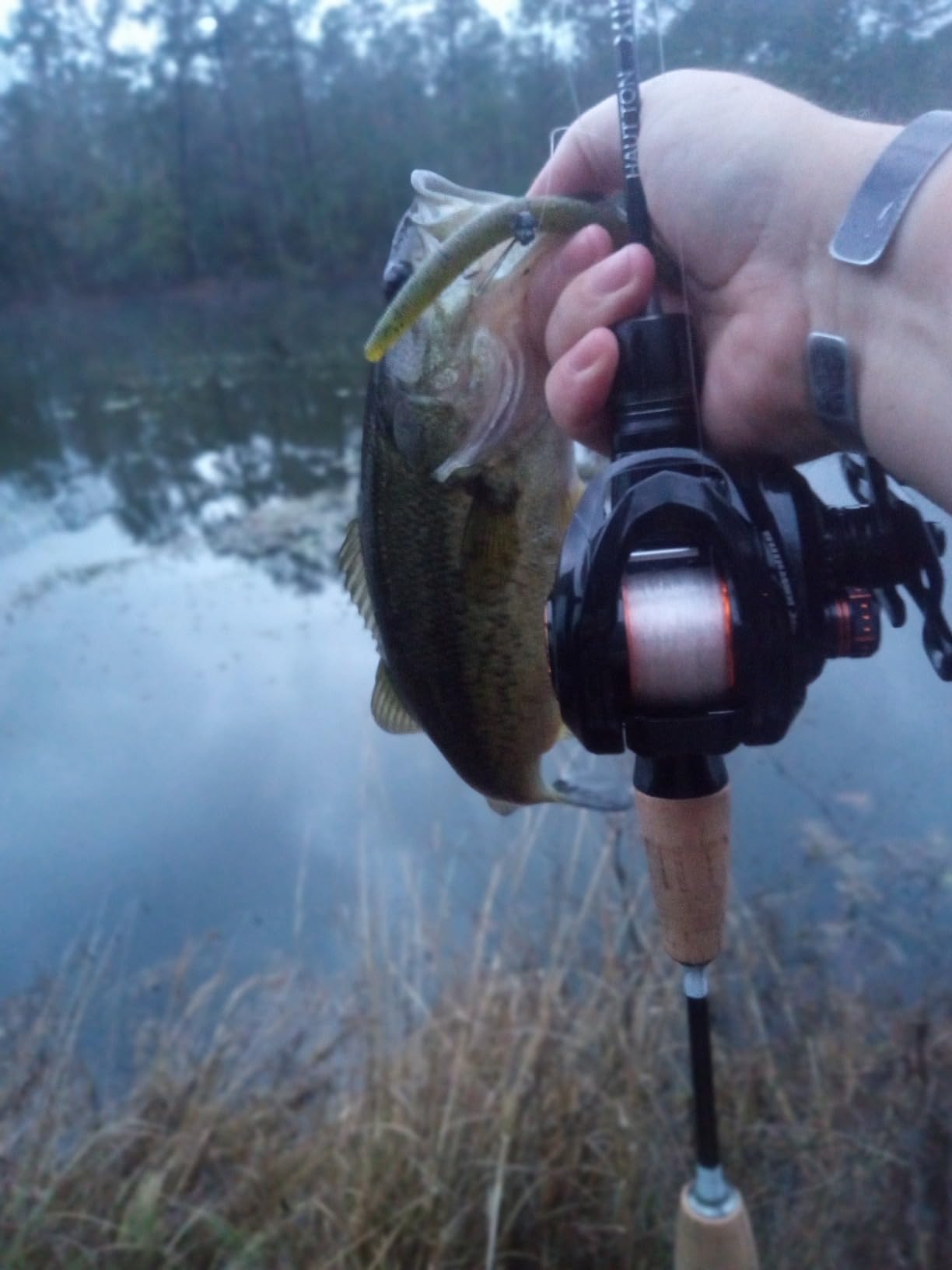 KastKing Zephyr Bait Finesse Baitcasting Fishing Reels with Drag Clicker customer photo 1
