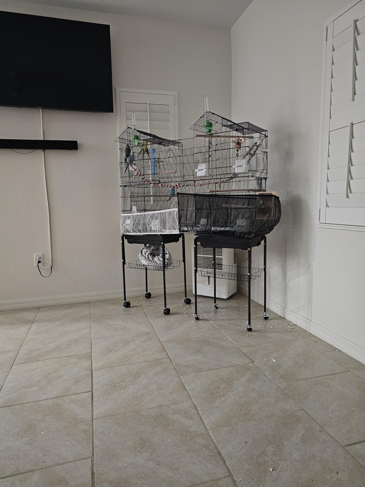 Yaheetech 62.5-inch Roof Top Flight Bird Cage for Parakeets Cockatiels Conures Finches Lovebirds Canaries Budgies Small Parrots, Large Birdcage with Detachable Rolling Stand, White customer photo 1
