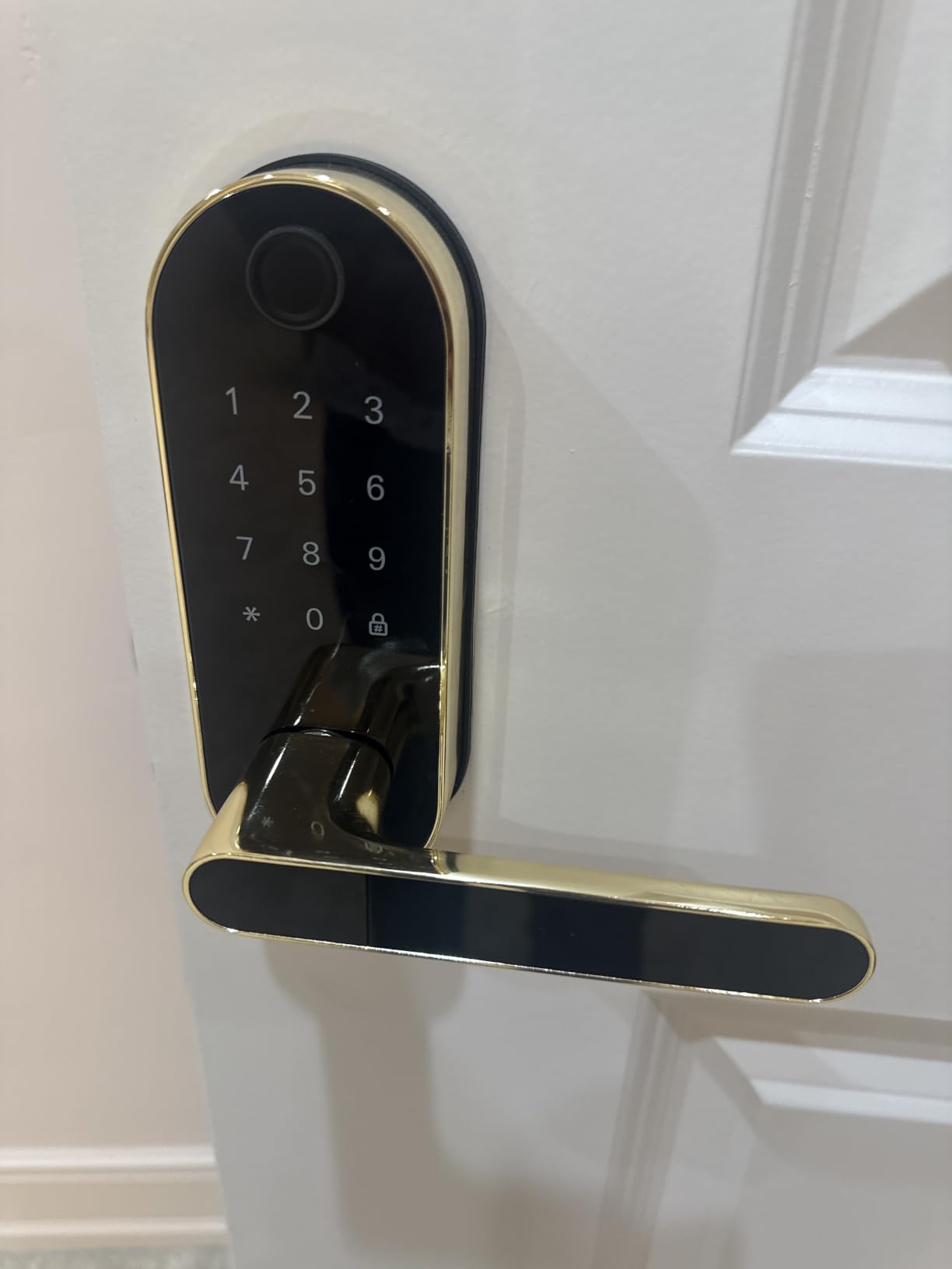 Fingerprint Smart Door Lock with Handle & Keypad – Bluetooth Keyless Entry for Front Door, Home, Kids, Guests, Airbnb & Rental, App + Code Access, Compatible with Alexa & Google, Easy DIY Install customer photo 1
