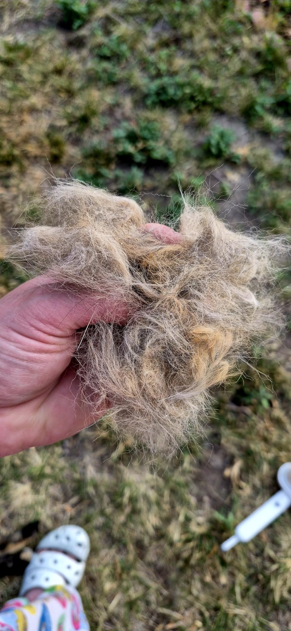 Aumuca Cat Brush for Shedding, Cat Brushes for Indoor Cats, Cat Brush for Long or Short Haired Cats, Cat Grooming Brush Cat Comb for Kitten Rabbit Massage Removes Loose Fur customer photo 2