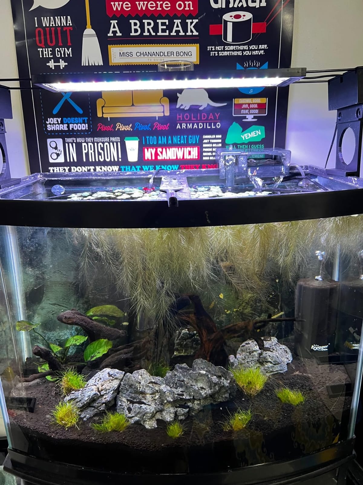 hygger Auto On Off LED Aquarium Light, Full Spectrum Fish Tank Light with LCD Monitor, 24/7 Lighting Cycle, 7 Colors, Adjustable Timer, IP68 Waterproof, 3 Modes for 18