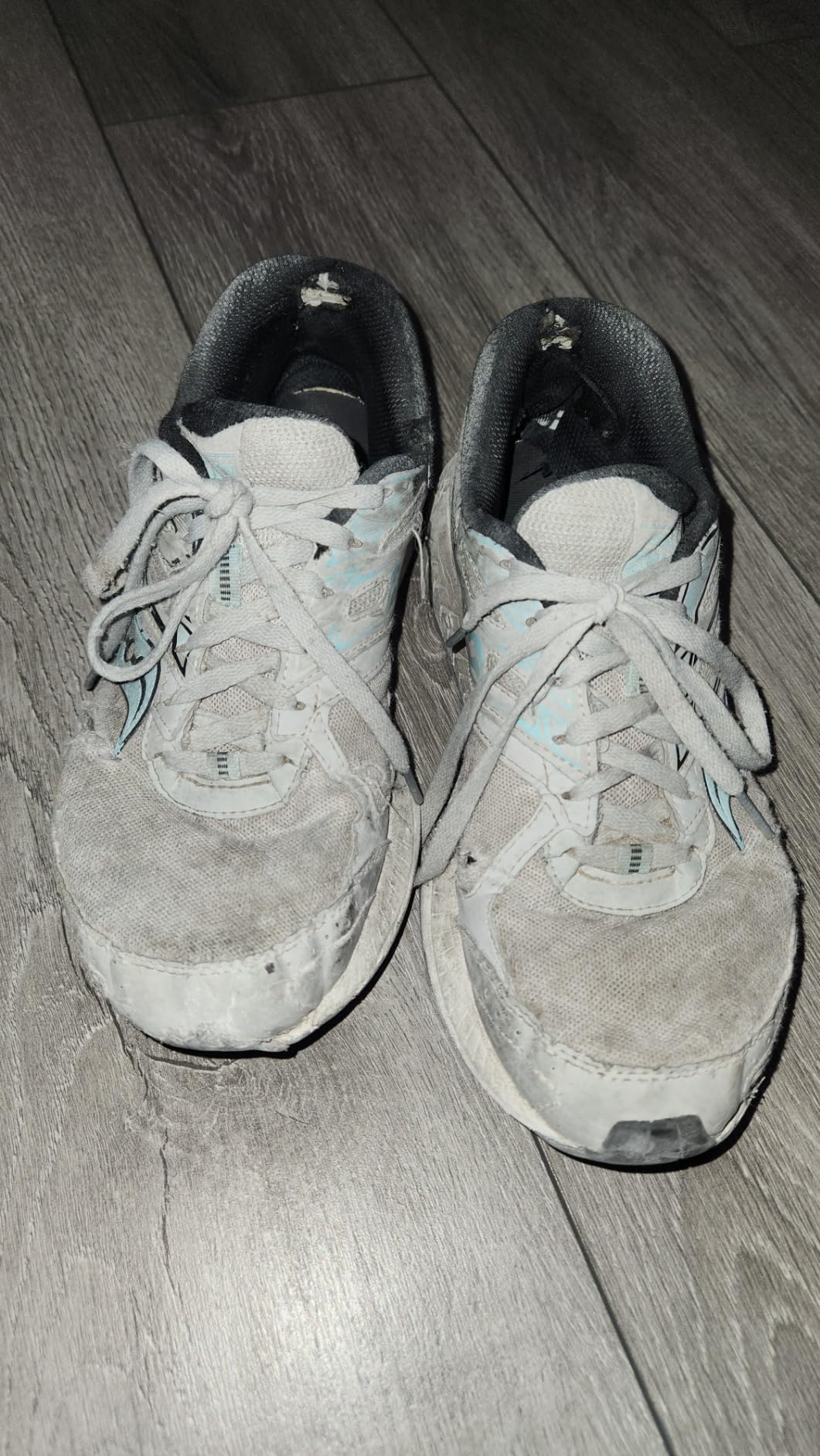 Saucony Women's Cohesion 13 Running Shoe customer photo 1
