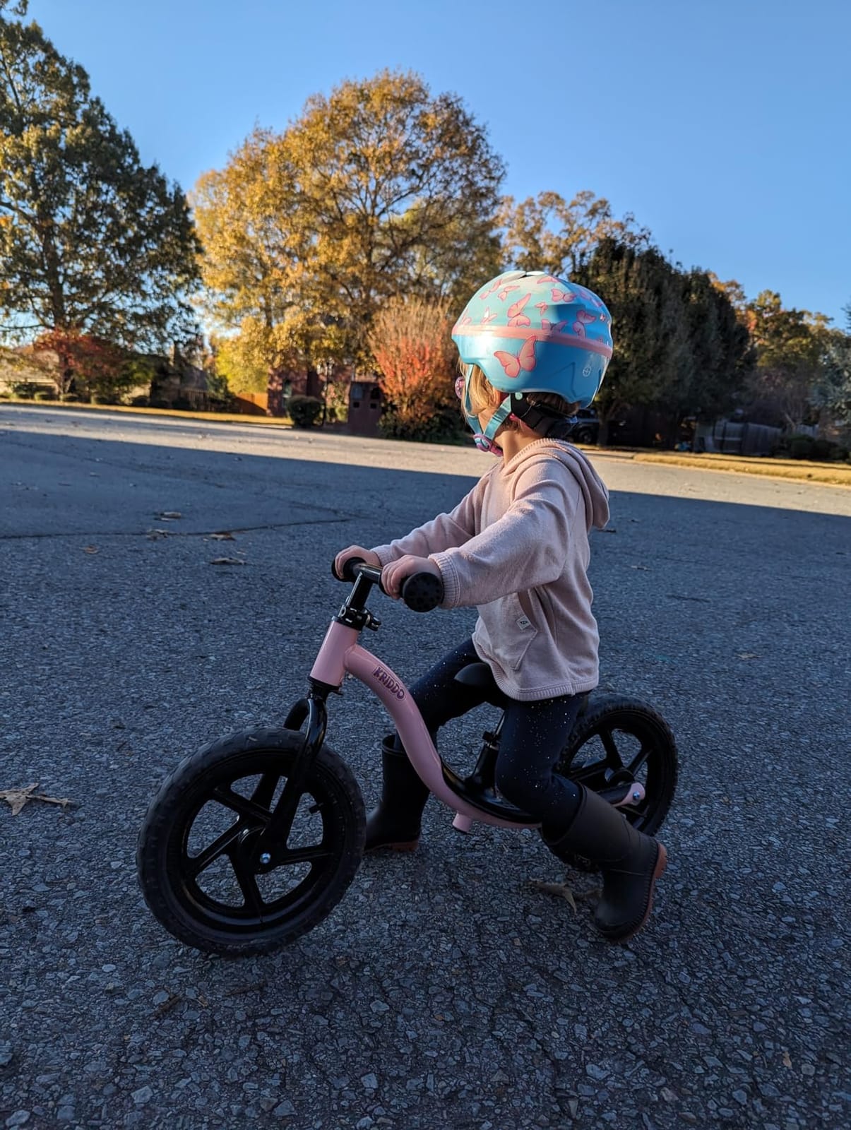 KRIDDO Toddler Balance Bike 2 Year Old, Kids Balance Bike for 2-5 Years Old customer photo 2