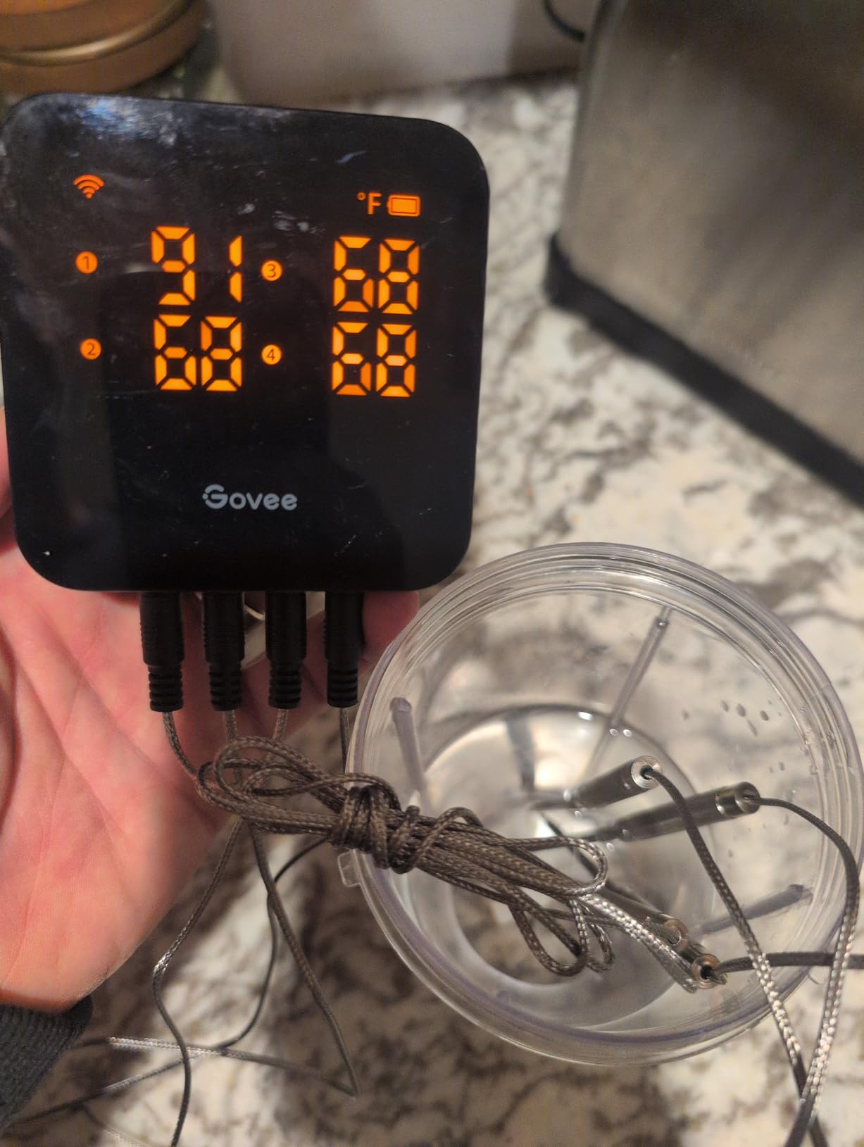 Govee WiFi Meat Thermometer Digital with 4 Probe, App Notification Alert customer photo 1