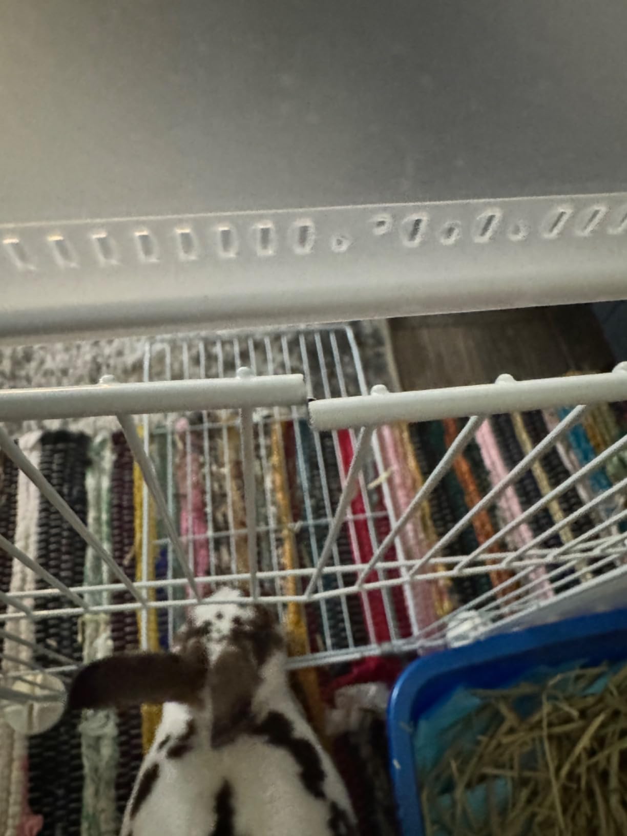 Pet Playpen, Small Animal Cage DIY Wire Fence with Door 15 Panels, Black customer photo 2