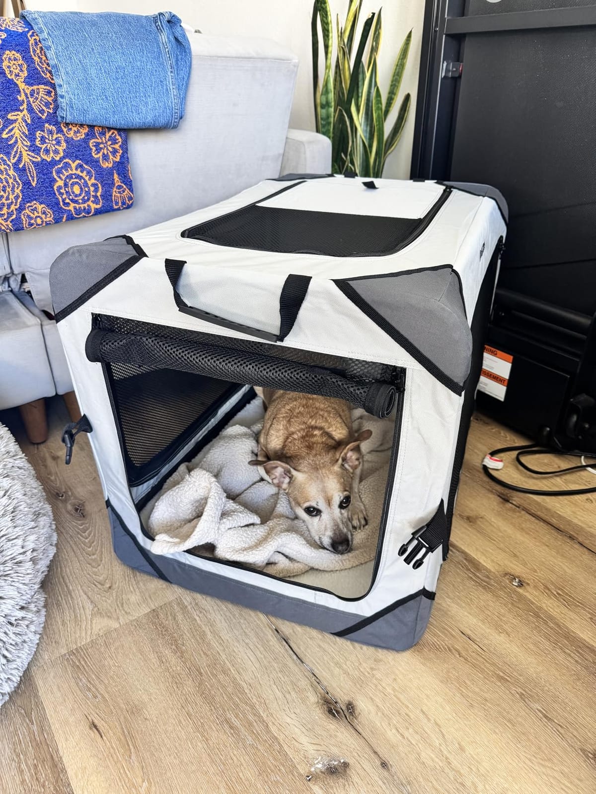 Lesure Portable Soft Collapsible Dog Crate for Large Dogs, 36in Light Grey customer photo 1